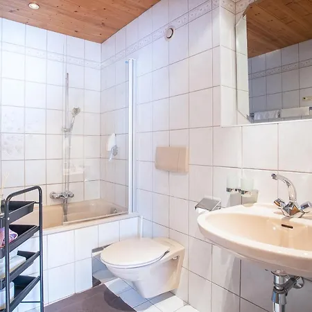 Karwendel Apartment