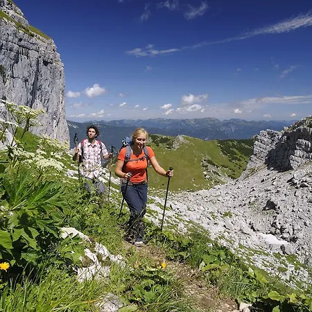 Апартаменты Fruehstueckspension Karwendel